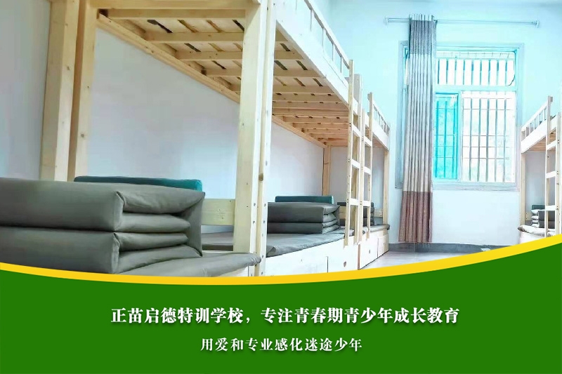 中学女孩沉迷网络游戏，心理疏导和兴趣培养如何结合？