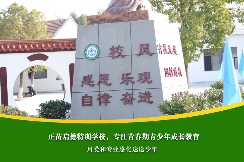 青春期孩子叛逆沉迷游戏，家庭和学校应如何联合干预？