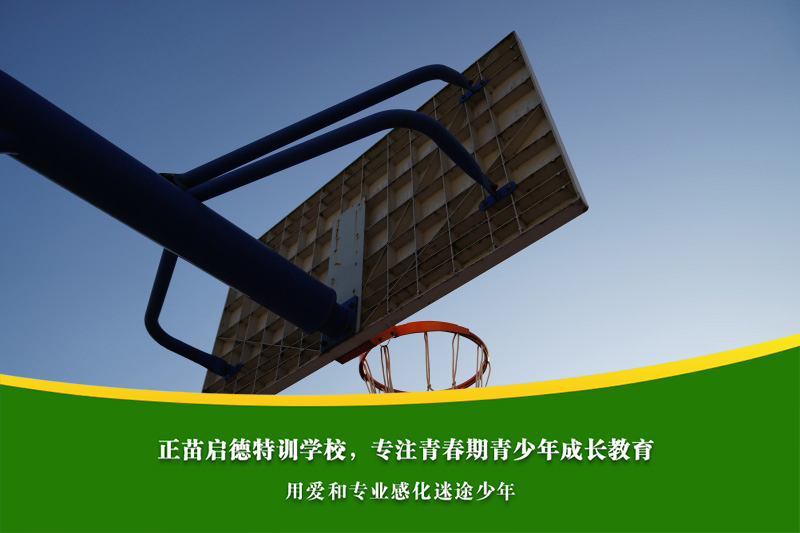 青春期孩子叛逆又沉迷网络，心理问题如何预防？