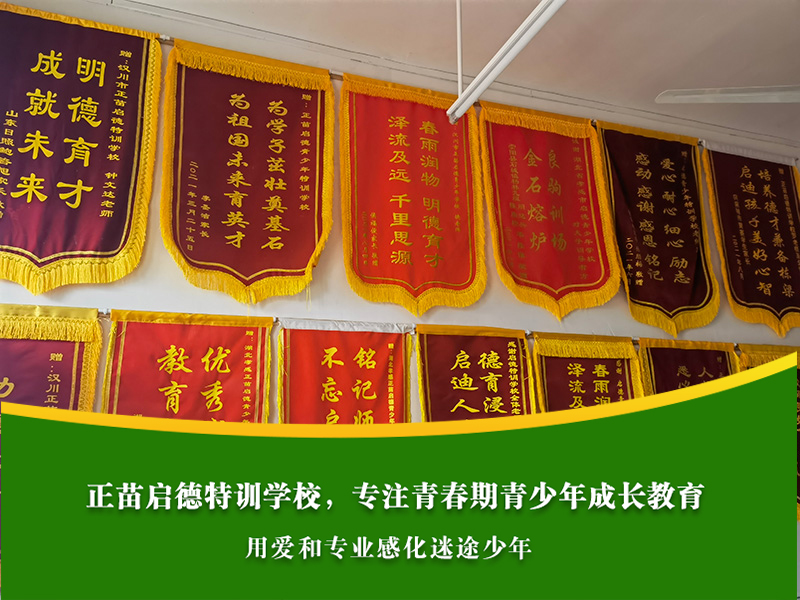 青春期男孩沉迷手机到底要不要戒断？