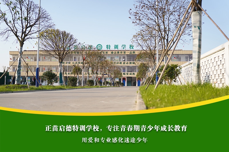 中学生沉迷网络社交，是否可能导致孤独感加重？