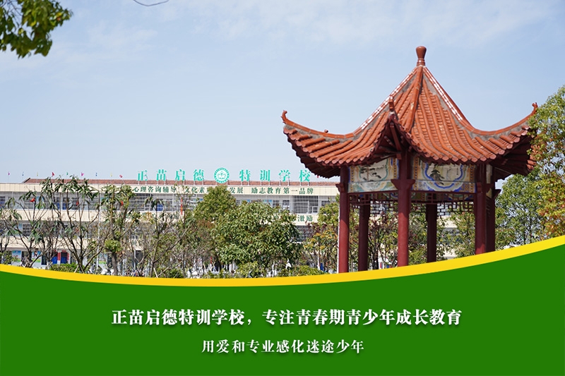 青春期男孩厌学情绪明显，心理疏导与学习规划如何结合？