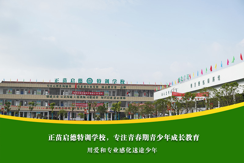 为什么青春期孩子总容易陷入早恋和网恋？
