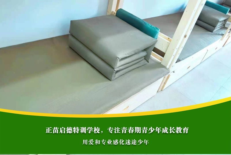高中男孩沉迷手机会导致学习成绩下降吗？