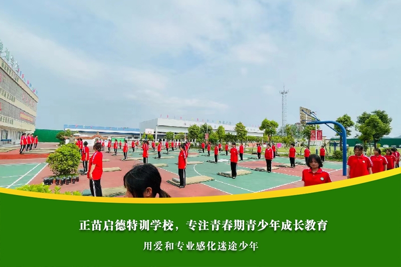 初中生叛逆行为背后隐藏哪些心理原因？