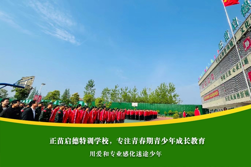如何帮助沉迷于幻想类网络小说的初中生，重新对接现实世界？