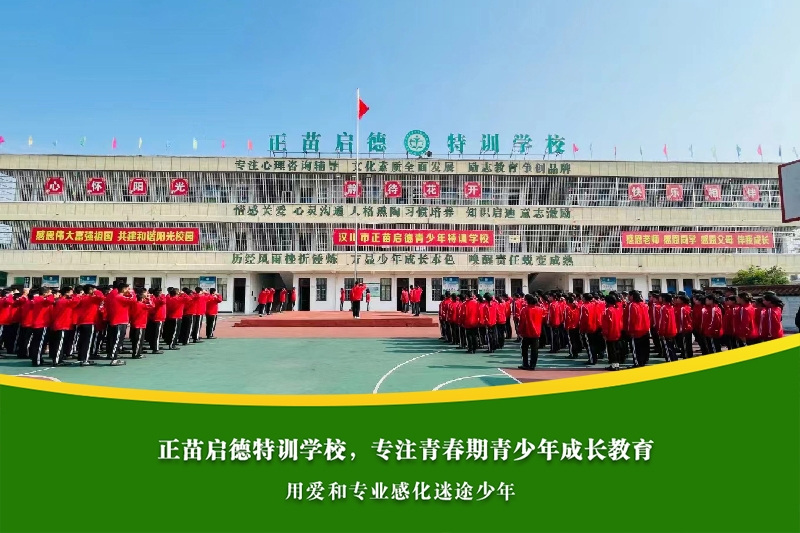 初中女孩厌学，家长是否该放手让孩子自主选择？
