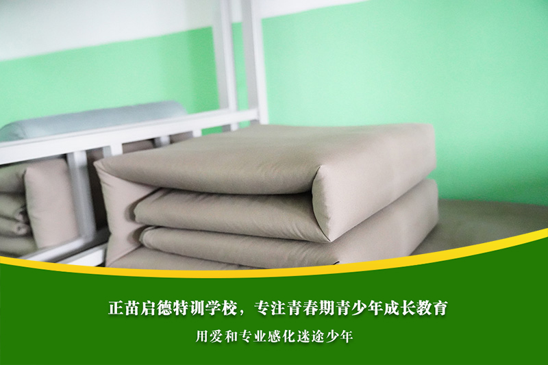 高中女孩厌学后在家无所事事,家长该如何为她安排有意义的课余生活? 高中女孩厌学后在家无所事事,家长该如何为她安排有意义的课余生活?