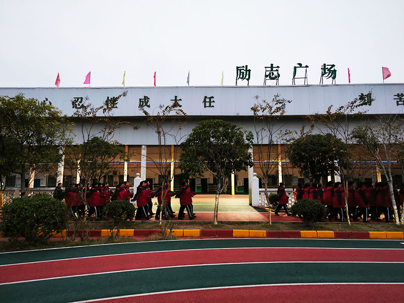 中学生聚众斗殴，学校如何进行心理疏导与行为教育？